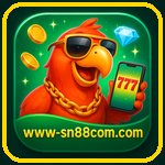 sn88 com